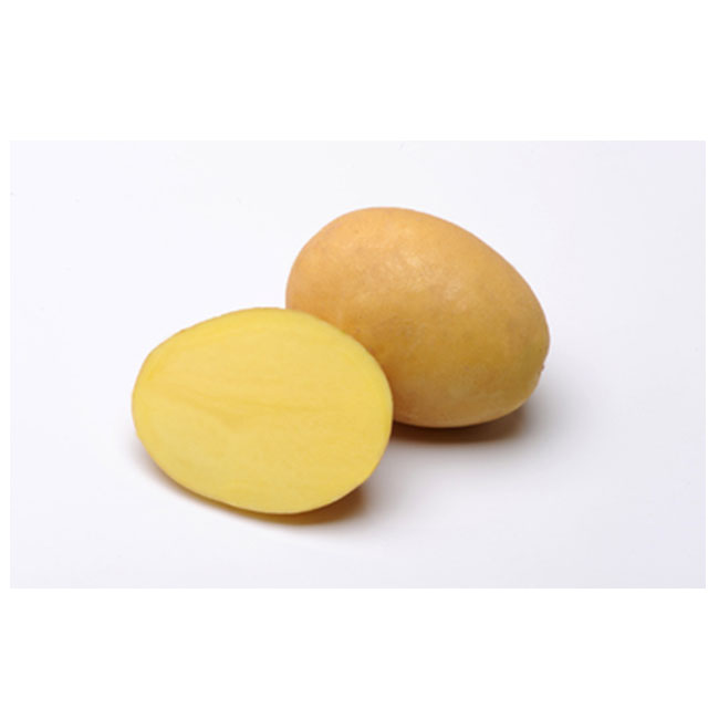 20 Kč/kg