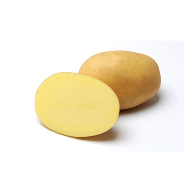 20 Kč/ kg